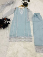 Organza Silk Three Set Kurti fabric texture detail