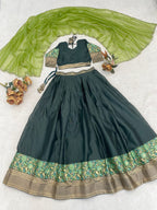 Silk Lehenga with Weaving Border and Zari Work for Bridal Functions embroidery close-up