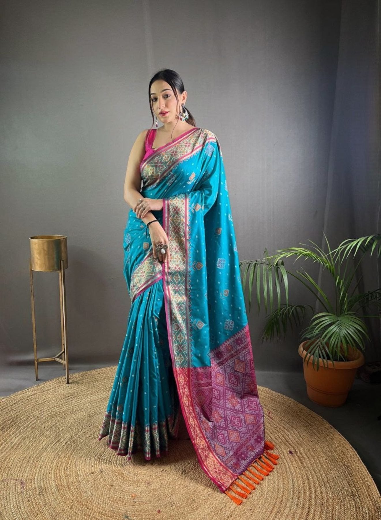 Patola Saree - blouse and border close-up