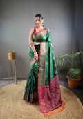Patola Saree - back view