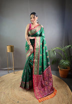 Patola Saree - back view