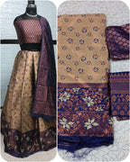 Pure Softy Silk Zari Half Lehenga Saree with Banarasi Dupatta back view