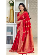 Red Banarasi Saree - side drape view