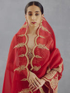 Red Organza Saree for women - full front view | Snyvia