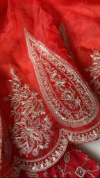 Red Organza Saree - Embroidery back view