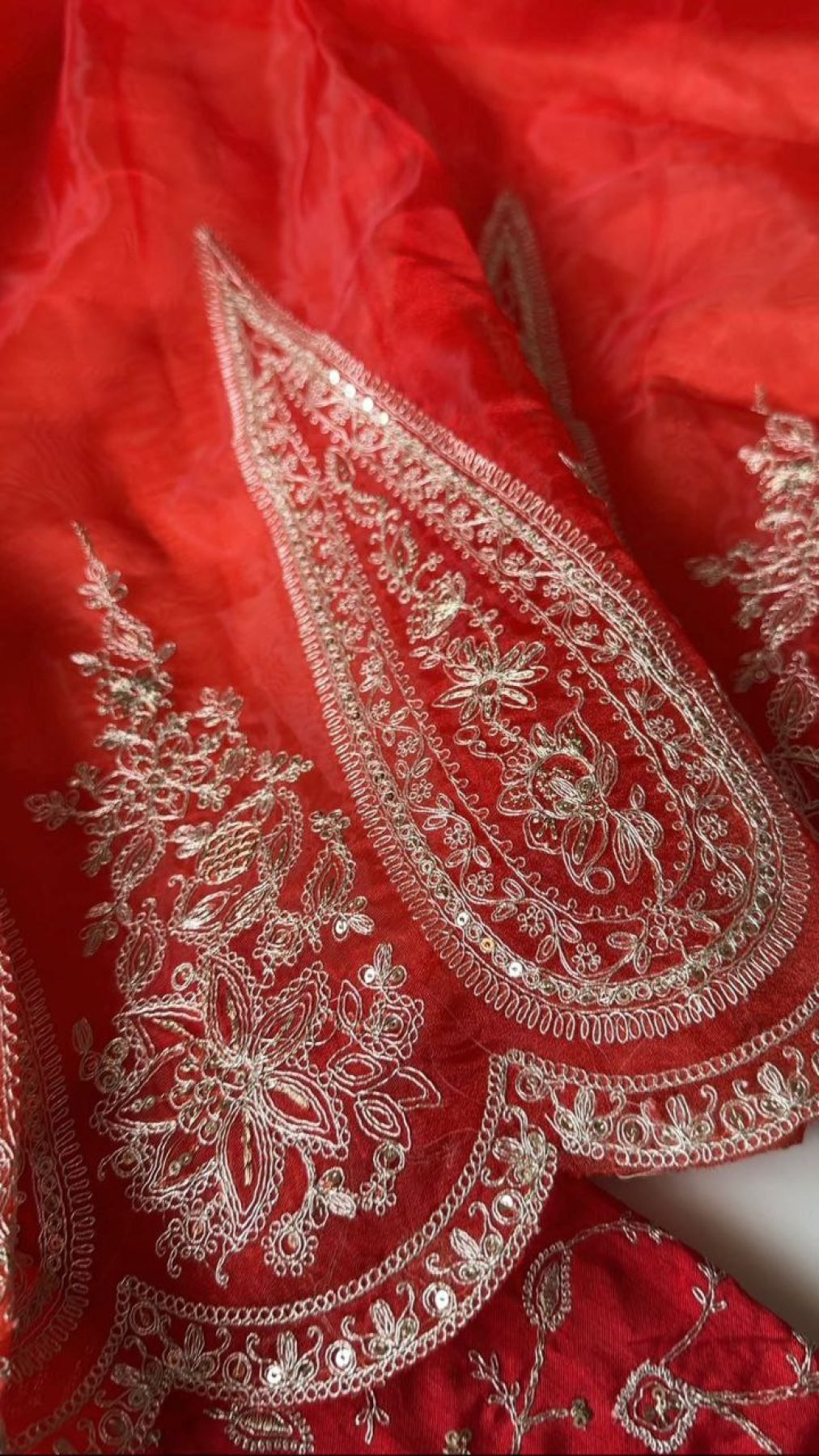 Red Organza Saree - Embroidery back view