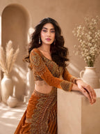 Orange Silk Saree - blouse and border close-up