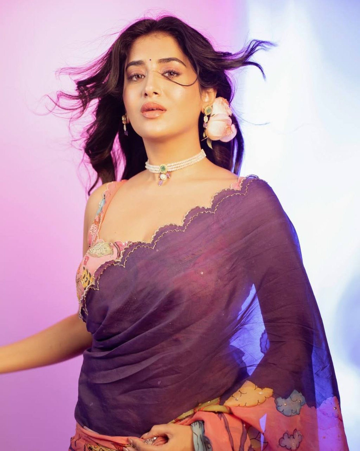 Silk Saree - drape and pallu detail