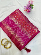 Pink Dola Saree - drape and pallu detail