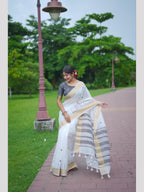 Cotton Saree - back view