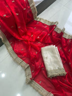 Red Silk Saree - side drape view