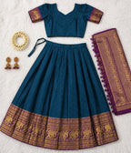 Heavy Lichi Silk Lehenga Choli with Woven Zari Border for Wedding Wear back view