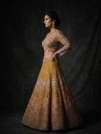 Butterfly Net Coding Sequins Lehenga back view