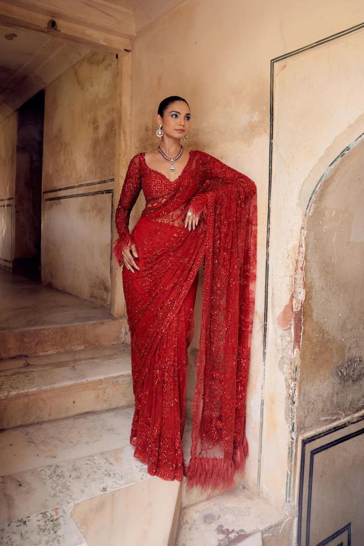 Red Net Saree - Embroidery pallu design detail