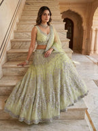 Lehenga Set with Intricate Mirror and Floral Embroidery front view