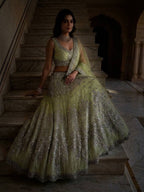 Lehenga Set with Intricate Mirror and Floral Embroidery full drape view