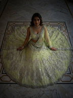 Lehenga Set with Intricate Mirror and Floral Embroidery blouse and dupatta detail